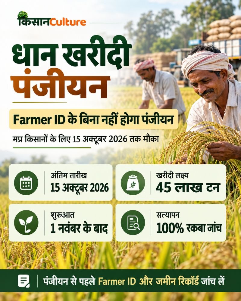 धान खरीदी पंजीयन 2026 infographic जिसमें Farmer ID, 15 अक्टूबर की अंतिम तारीख, 45 लाख टन खरीदी लक्ष्य और 100 प्रतिशत रकबा सत्यापन की जानकारी है