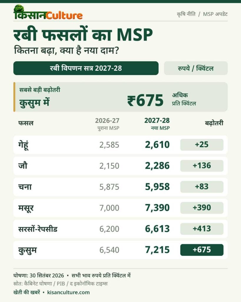 रबी MSP 2027-28 का इन्फोग्राफिक: गेहूं, जौ, चना, मसूर, सरसों और कुसुम के पुराने और नए समर्थन मूल्य की तुलना