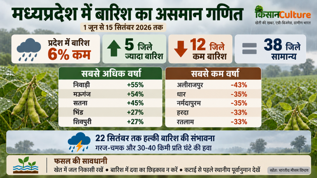 मध्यप्रदेश में बारिश का जिलेवार आंकड़ा और सोयाबीन फसल
