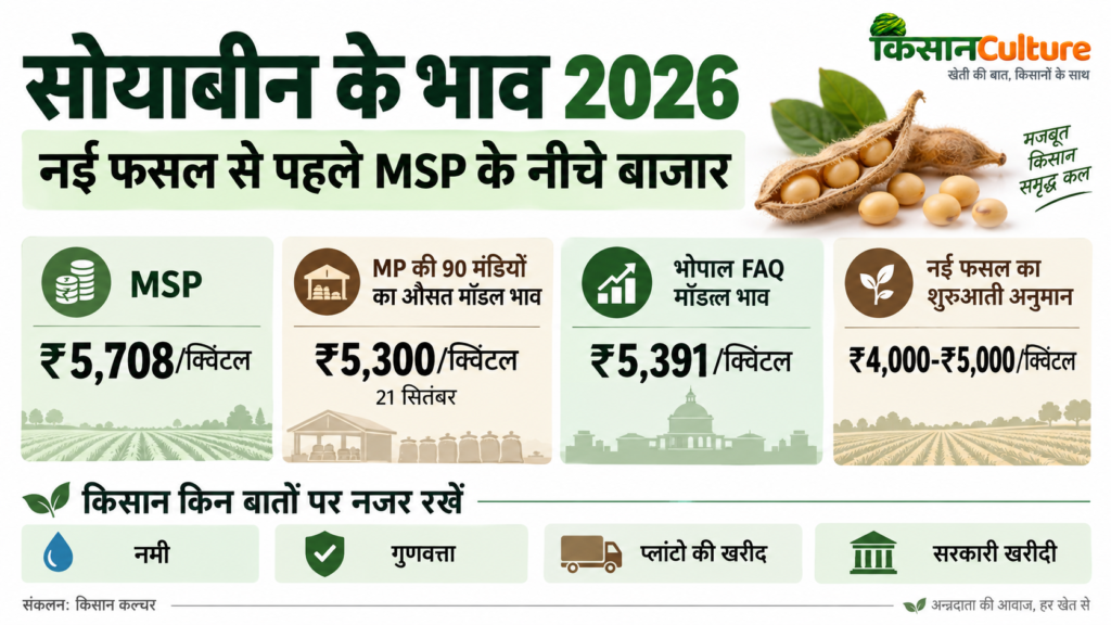 सोयाबीन भाव 2026 : बाजार पर दबाव के कारण दिखाता इन्फोग्राफिक, जिसमें सोयामील निर्यात में गिरावट, सोयाबीन और मक्का का रकबा तथा बाजार संकेत हैं
