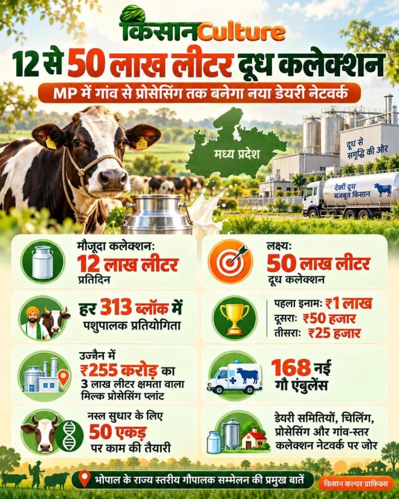 मध्य प्रदेश में 50 लाख लीटर दूध कलेक्शन के लक्ष्य, 313 ब्लॉक में पशुपालक प्रतियोगिता और डेयरी नेटवर्क विस्तार का किसान कल्चर इन्फोग्राफिक
