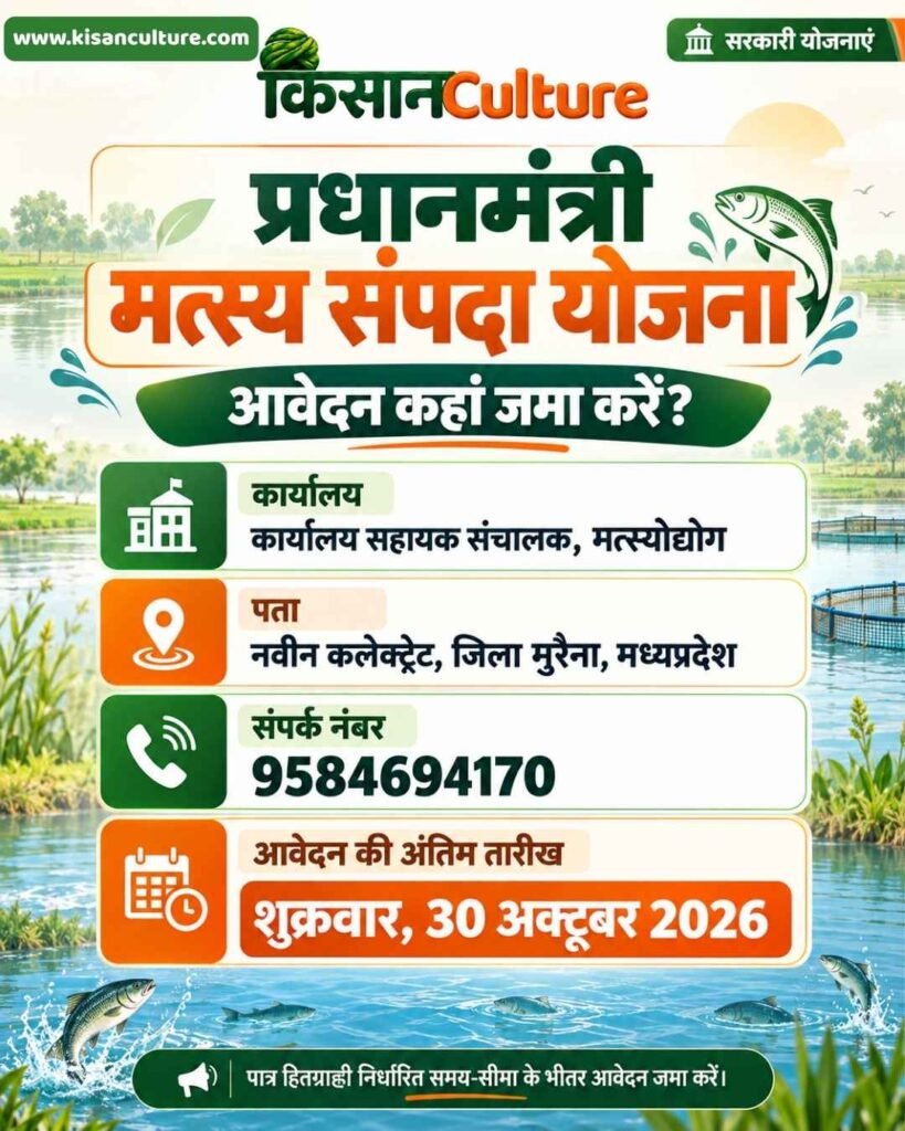 प्रधानमंत्री मत्स्य संपदा योजना मुरैना में आवेदन की अंतिम तारीख 30 अक्टूबर 2026, कार्यालय का पता और संपर्क नंबर