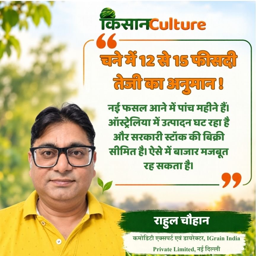 चने के भाव में 15 प्रतिशत तक तेजी का अनुमान बताते कमोडिटी एक्सपर्ट राहुल चौहान, डायरेक्टर IGrain India