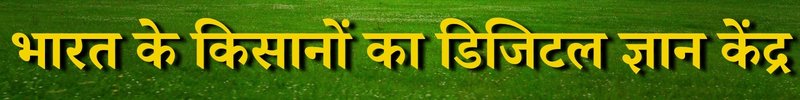 spot_img