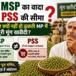 MP मूंग Moong Procurement से जुड़ी जानकारी, जिसमें MSP और PSS का अंतर, मूंग खरीदी केंद्र और मध्यप्रदेश में पूरी मूंग खरीदी नहीं होने के कारण बताए गए हैं।