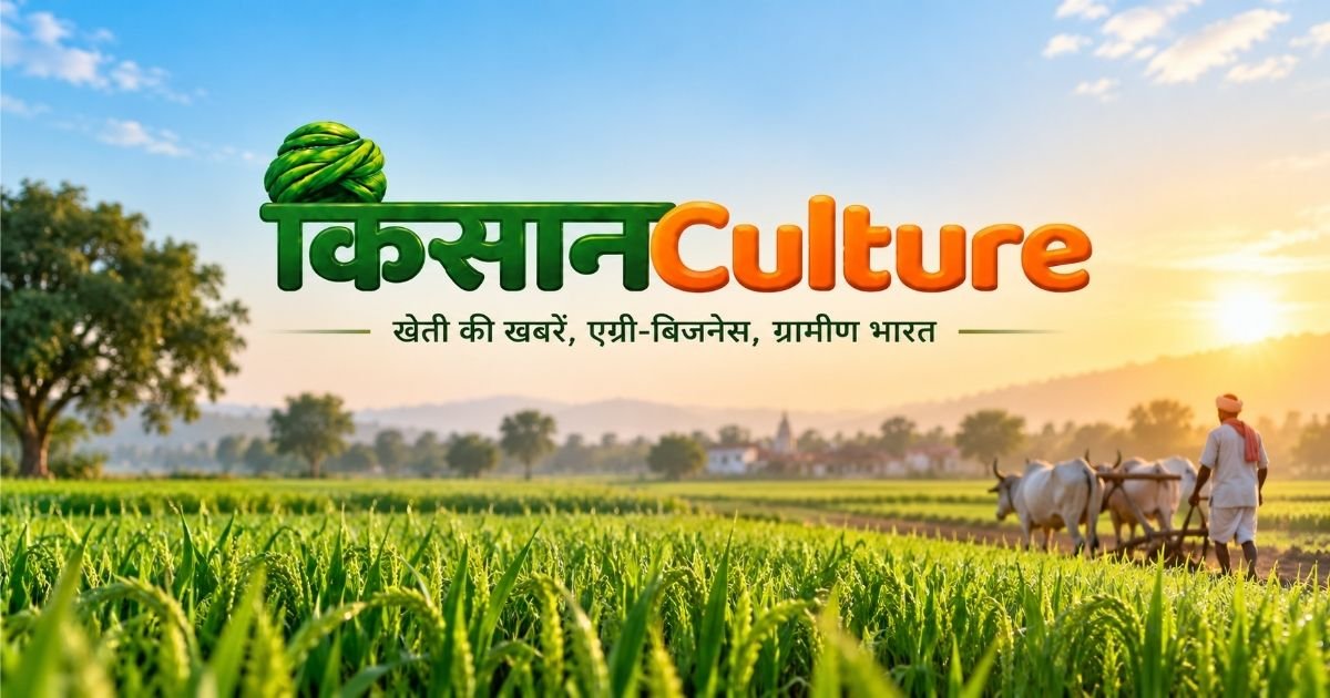 किसान कल्चर कृषि समाचार वेबसाइट का होमपेज सोशल प्रीव्यू, खेती की खबरें, एग्री-बिजनेस और ग्रामीण भारत