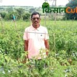 प्राकृतिक खेती सोविंद उइके, परासिया में अपने सब्जी के खेत में किसान सोविंद उइके
