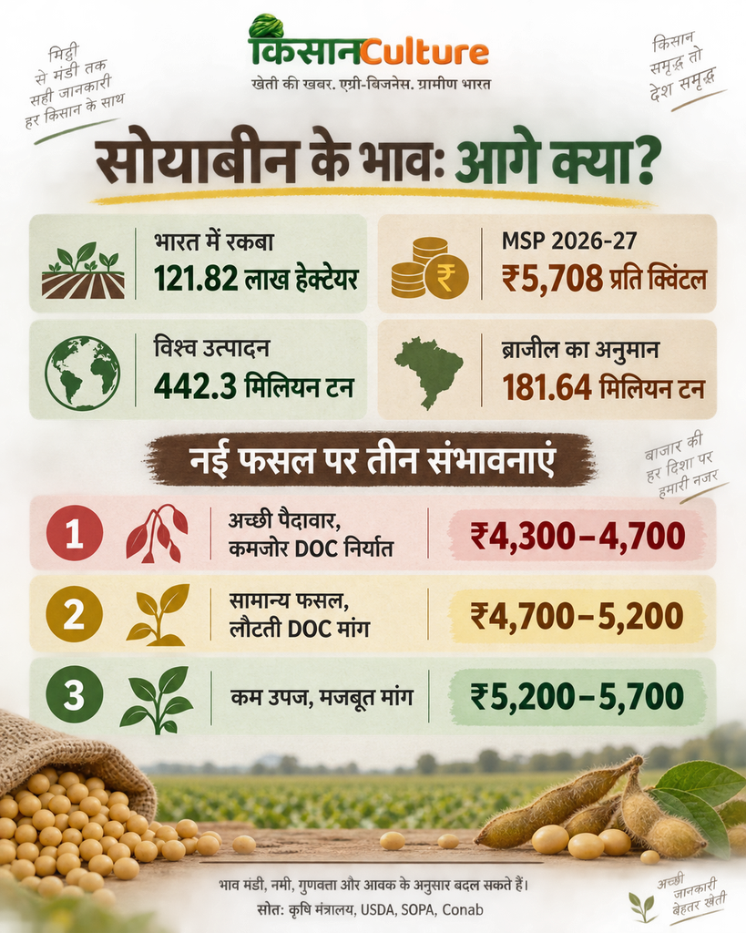 सोयाबीन के भाव 2026, रकबा, MSP और संभावित बाजार स्थिति