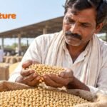 सोयाबीन भावांतर योजना 2026 : मंडी में सोयाबीन से भरे बोरे के ऊपर हाथों में उपज लेकर देखता किसान, सांकेतिक चित्रमंडी में सोयाबीन से भरे बोरे के ऊपर हाथों में उपज लेकर देखता किसान, सांकेतिक चित्र