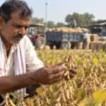 सोयाबीन भाव 2026 : नई सोयाबीन फसल की फलियां देखते किसान, पीछे मंडी में सोयाबीन की बोरियां और ट्रैक्टर