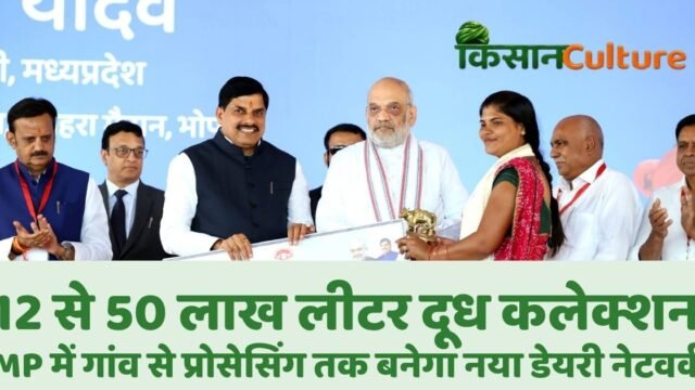 मध्य प्रदेश में 50 लाख लीटर दूध कलेक्शन का लक्ष्य निर्धारित, राज्य स्तरीय गोपालक सम्मेलन में अमित शाह और मुख्यमंत्री मोहन यादव एक महिला गोपालक को सम्मानित करते हुए