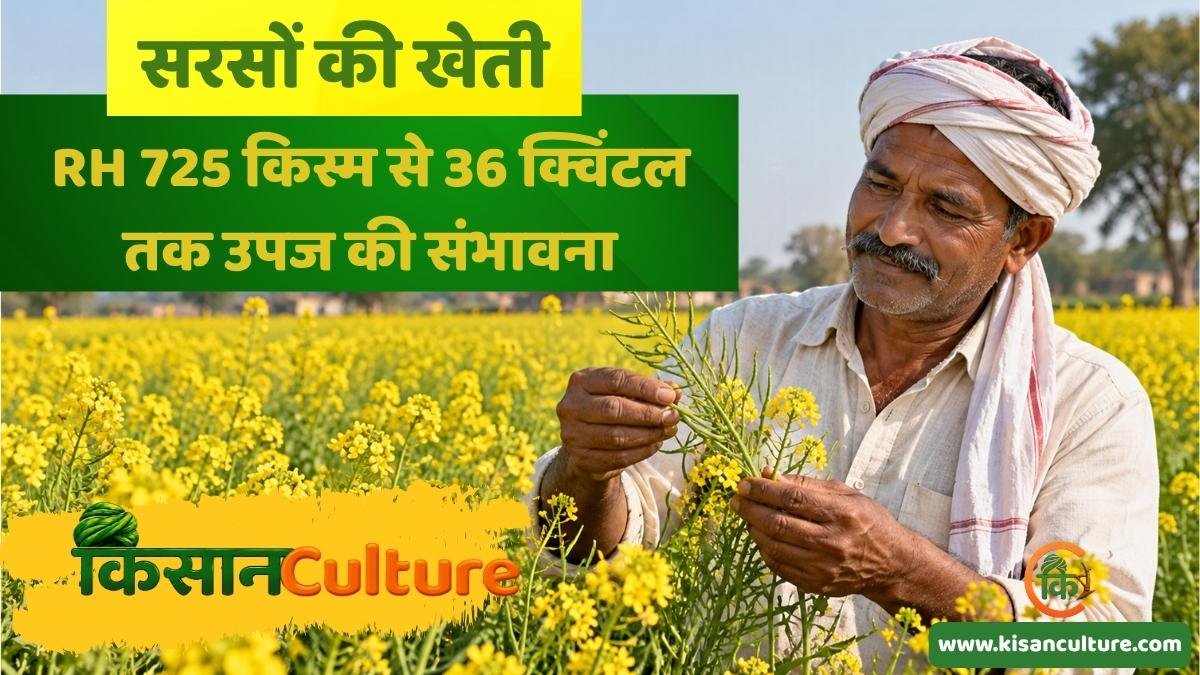 नीति और नियत की नवीनतम खबर