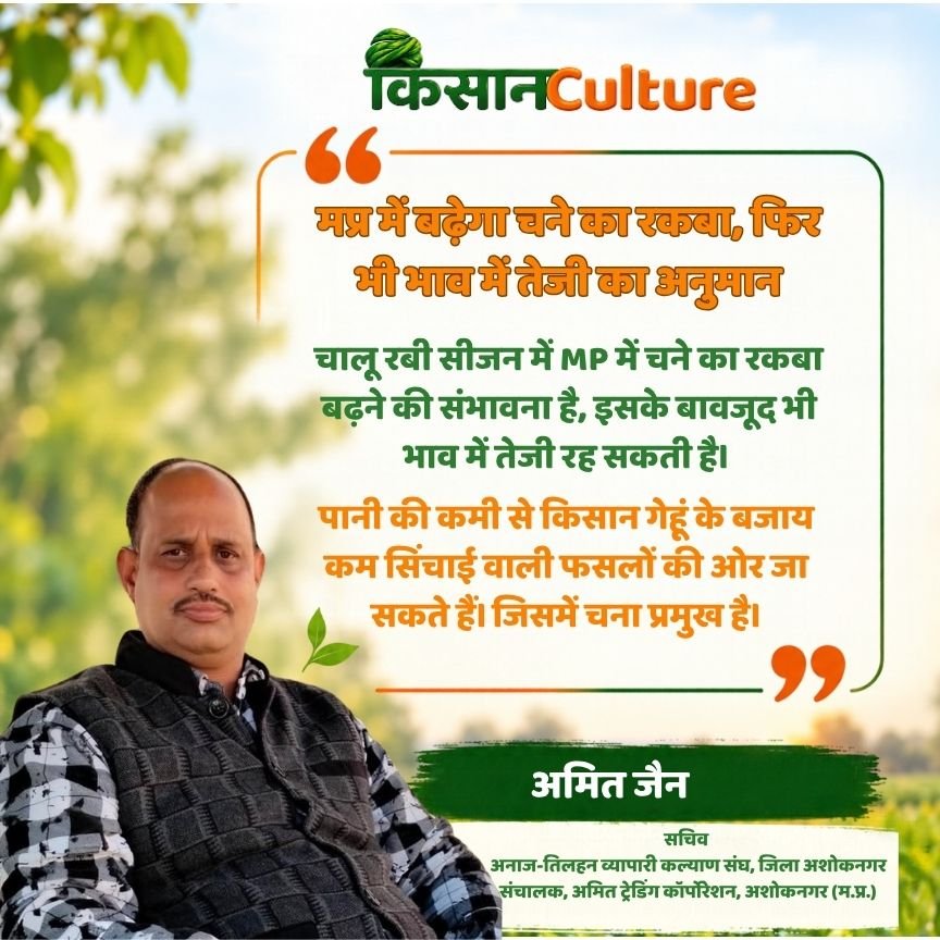 अमित जैन: MP में चने का रकबा बढ़ने और भाव तेज रहने के संकेत