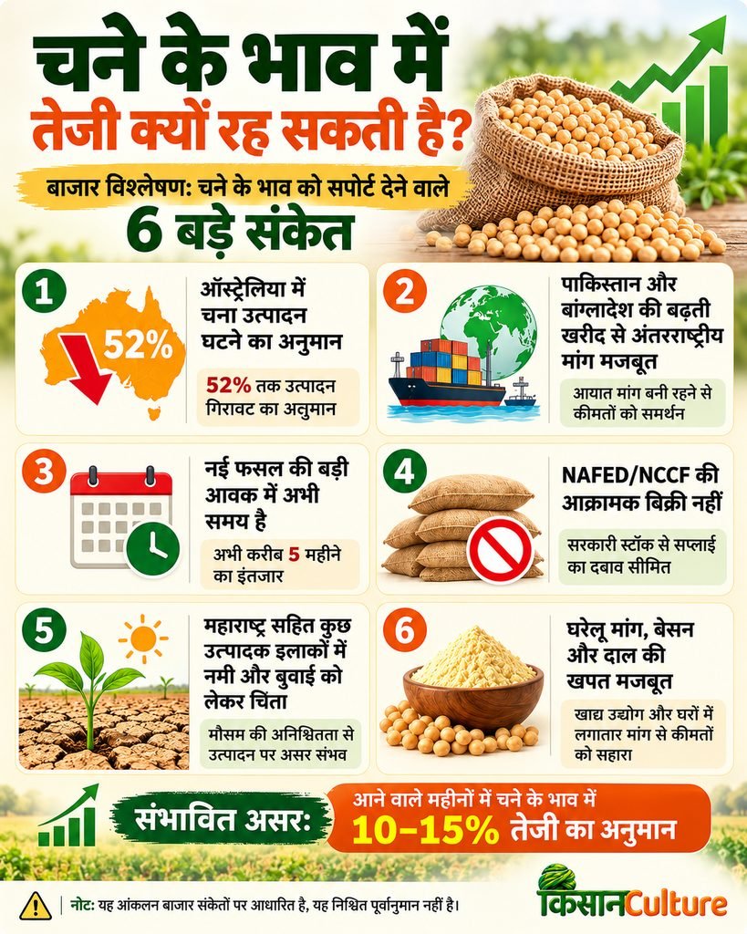 चने के भाव में तेजी के 6 कारण, ऑस्ट्रेलिया में उत्पादन गिरावट, विदेशी मांग, NAFED स्टॉक और रबी बुवाई का असर