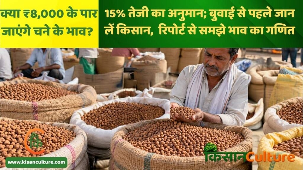 मंडी में देसी चने की गुणवत्ता जांचता किसान-व्यापारी, चने के भाव 2026