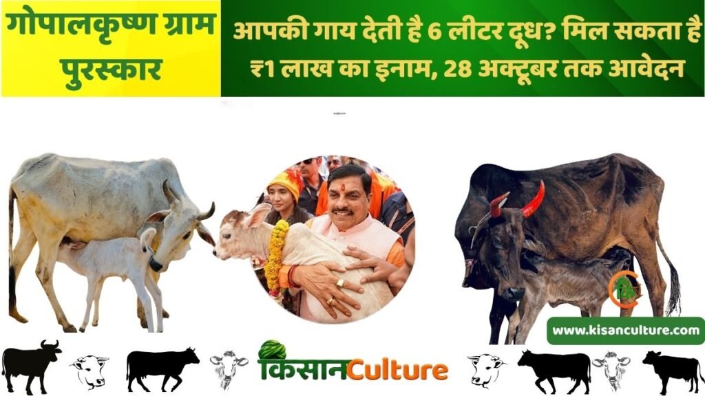 गोपालकृष्ण ग्राम पुरस्कार योजना 2026 का फीचर ग्राफिक, दुधारू गायों के साथ ₹1 लाख पुरस्कार और 6 लीटर दूध की पात्रता की जानकारी