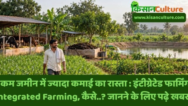 छोटे किसानों के लिए इंटीग्रेटेड फार्मिंग Integrated Farming मॉडल, फसल के साथ डेयरी, सब्जी, बागवानी और जैविक खाद