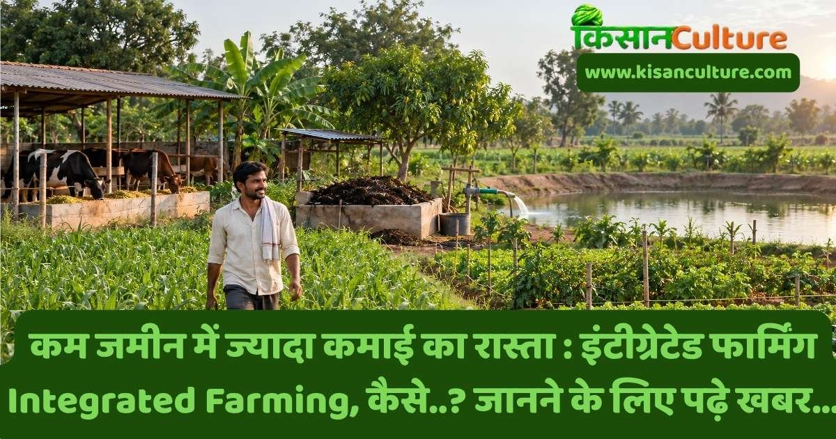 छोटे किसानों के लिए इंटीग्रेटेड फार्मिंग Integrated Farming मॉडल, फसल के साथ डेयरी, सब्जी, बागवानी और जैविक खाद