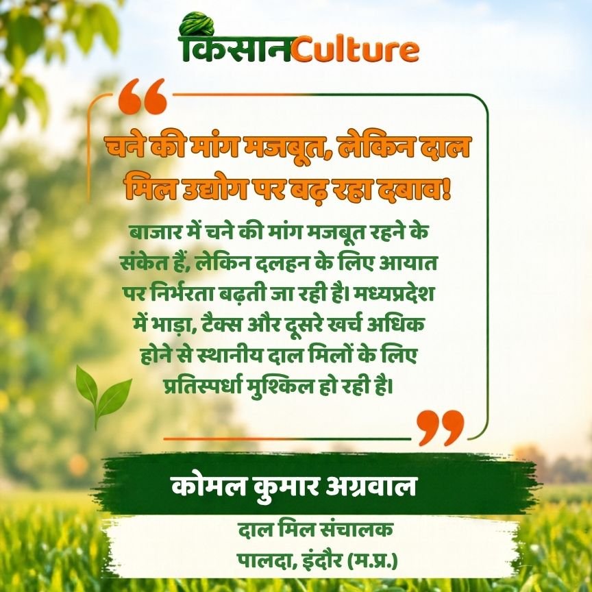 चने की मांग, दलहन आयात और दाल मिल उद्योग की चुनौतियां बताते कोमल कुमार अग्रवाल, दाल मिल संचालक इंदौर