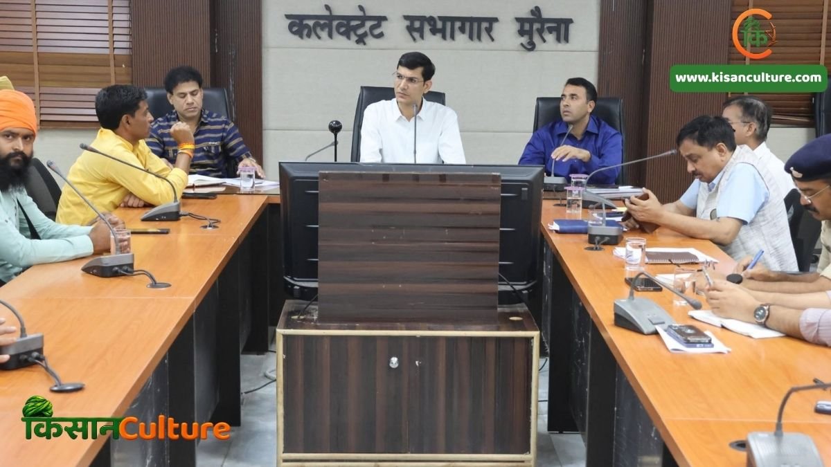 मुरैना कलेक्ट्रेट सभागार में अधिकारियों और अन्य उपस्थित लोगों की बैठक का दृश्य