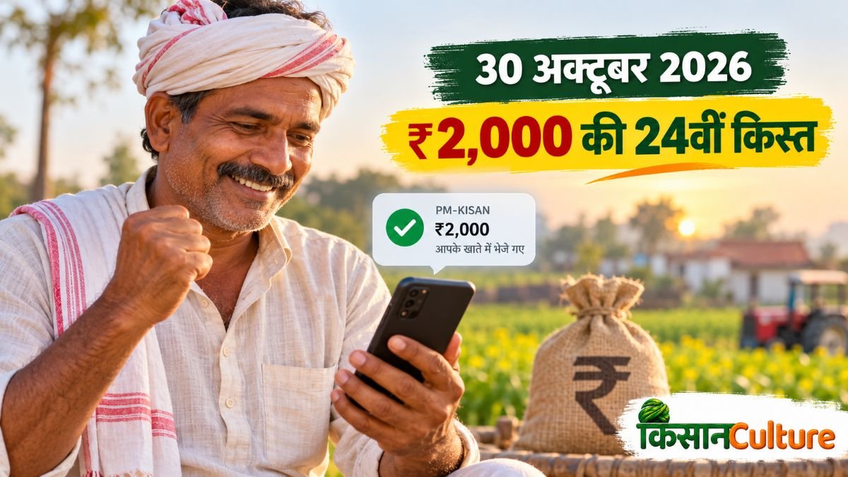 PM Kisan 24th Installment से पहले e-KYC, आधार-बैंक लिंक, Land Seeding, नाम और भुगतान स्टेटस जांचने के 5 जरूरी कदम