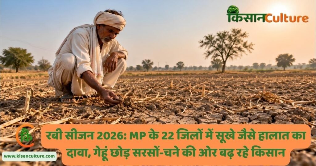 रबी सीजन 2026 में सूखे खेत की मिट्टी जांचता किसान, कम बारिश और सिंचाई संकट का प्रतीकात्मक दृश्य