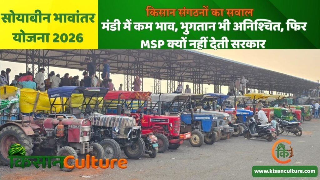 सोयाबीन भावांतर योजना 2026 की खबर के लिए अशोकनगर कृषि उपज मंडी में खड़े ट्रैक्टर और उपज से लदी ट्रॉलियाँ